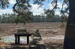 17645 NE 61st Street Rd, Silver Springs, FL 34488 - Photo 8