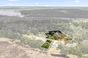 17645 NE 61st Street Rd, Silver Springs, FL 34488 - Photo 2