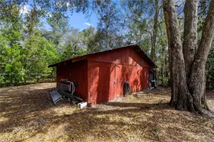 17645 NE 61st Street Rd, Silver Springs, FL 34488 - Photo 36