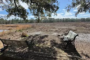 17645 NE 61st Street Rd, Silver Springs, FL 34488 - Photo 56