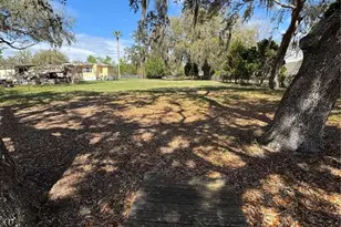 17645 NE 61st Street Rd, Silver Springs, FL 34488 - Photo 54