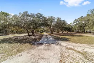 4970 SW 176th Ave, Dunnellon, FL 34432 - Photo 8