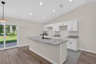6 Bay Pass Terrace, Ocklawaha, FL 32179 - Photo 12