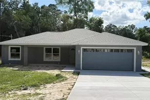 6 Bay Pass Terrace, Ocklawaha, FL 32179 - Photo 1