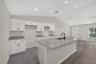 6 Bay Pass Terrace, Ocklawaha, FL 32179 - Photo 10