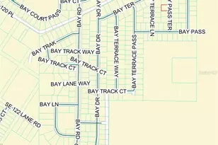 6 Bay Pass Terrace, Ocklawaha, FL 32179 - Photo 2