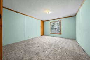 5028 E Hwy 316, Citra, FL 32113 - Photo 38