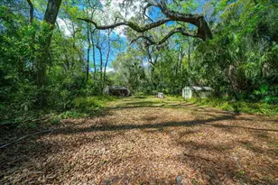 5028 E Hwy 316, Citra, FL 32113 - Photo 24