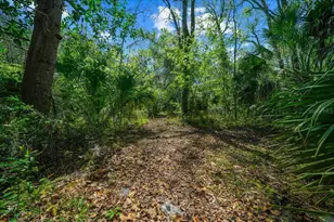 5028 E Hwy 316, Citra, FL 32113 - Photo 30
