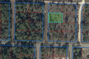 Tbd NE 155th Ave, Williston, FL 32696 - Photo 1