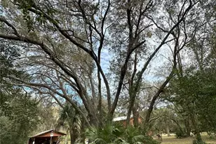 596 State Road 20, Palatka, FL 32177 - Photo 24