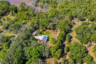 596 State Road 20, Palatka, FL 32177 - Photo 16