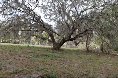 11234 SE 121st Lane Road, Belleview, FL 34420 - Photo 20