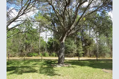 14464 SW 112th Circle, Dunnellon, FL 34432 - Photo 2