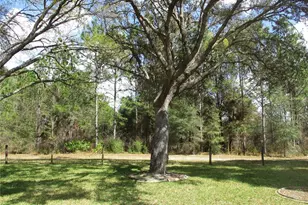 14464 SW 112th Cir, Dunnellon, FL 34432 - Photo 2