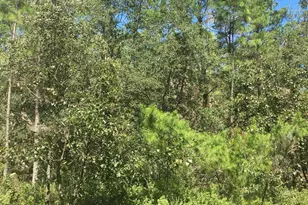 45th Terrace Rd, Ocala, FL 34473 - Photo 1