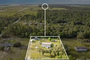 12531 NE 18 St, Williston, FL 32696 - Photo 16