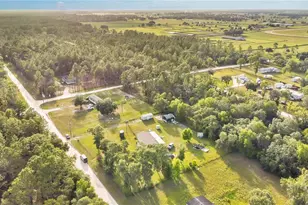 12531 NE 18 St, Williston, FL 32696 - Photo 18