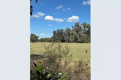 Ne 688th Avenue, Cross City, FL 32628 - Photo 12