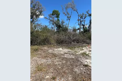 Ne 688th Avenue, Cross City, FL 32628 - Photo 2