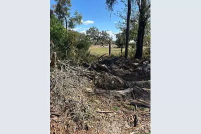 Ne 688th Avenue, Cross City, FL 32628 - Photo 10