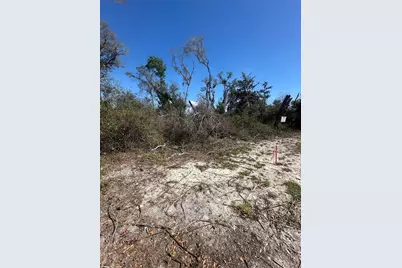 Ne 688th Avenue, Cross City, FL 32628 - Photo 18