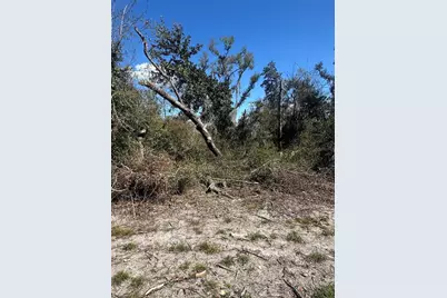 Ne 688th Avenue, Cross City, FL 32628 - Photo 6