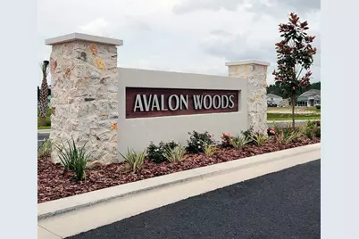 24356 NW 10th Road, Newberry, FL 32669 - Photo 12