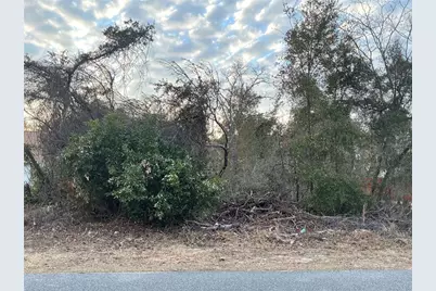 13823 SW 43rd Circle, Ocala, FL 34473 - Photo 1