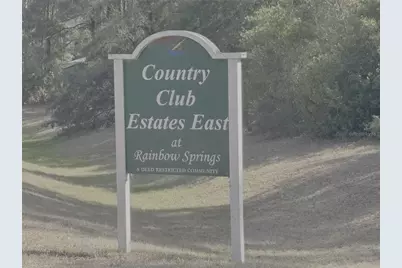 10045 SW 188th Circle, Dunnellon, FL 34432 - Photo 2