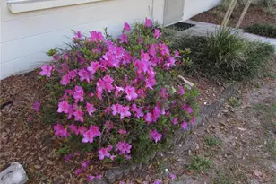 11931 N Bearl Terrace, Dunnellon, FL 34433 - Photo 32