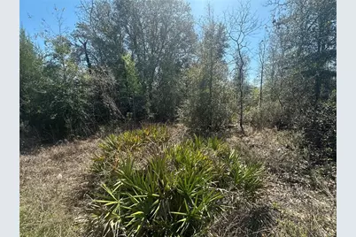 Ne 66th Lane, Bronson, FL 32621 - Photo 1