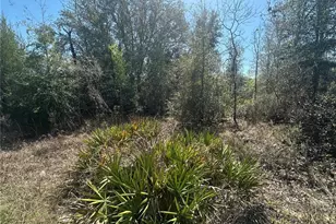 NE 66th Ln, Bronson, FL 32621 - Photo 1