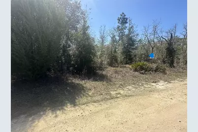 Ne 66th Lane, Bronson, FL 32621 - Photo 10