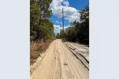 15575 NE 234th Place, Fort Mc Coy, FL 32134 - Photo 6