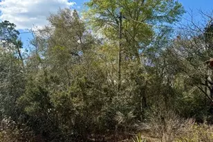 15575 NE 234th Pl, Fort Mc Coy, FL 32134 - Photo 4