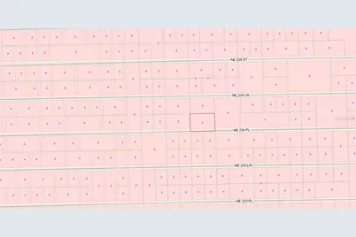 15575 NE 234th Place, Fort Mc Coy, FL 32134 - Photo 10