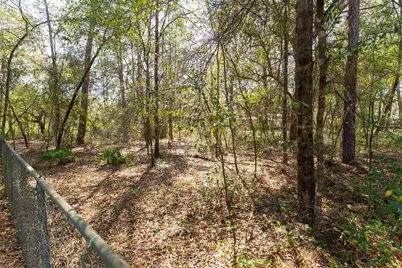 14881 NE 147th Avenue, Fort Mc Coy, FL 32134 - Photo 78