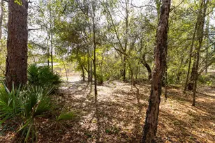 14881 NE 147th Ave, Fort Mc Coy, FL 32134 - Photo 88