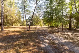 14881 NE 147th Ave, Fort Mc Coy, FL 32134 - Photo 82