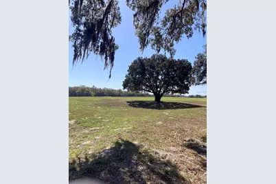 Tbd NE 56th Court, Anthony, FL 32617 - Photo 12