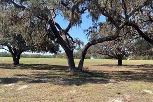 Tbd NE 56th Ct, Anthony, FL 32617 - Photo 1