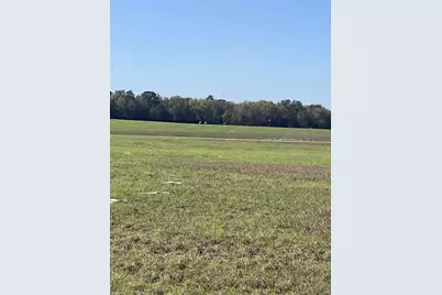 Tbd NE 56th Court, Anthony, FL 32617 - Photo 10