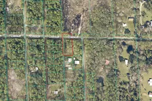Tbd NE 137th Pl, Citra, FL 32113 - Photo 1