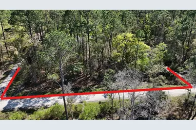 Tbd NE 137th Place, Citra, FL 32113 - Photo 1