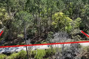 Tbd NE 137th Pl, Citra, FL 32113 - Photo 1