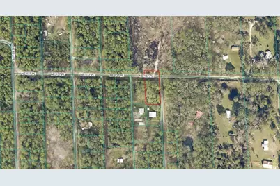 Tbd NE 137th Place, Citra, FL 32113 - Photo 4