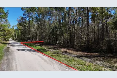 Tbd NE 137th Place, Citra, FL 32113 - Photo 8