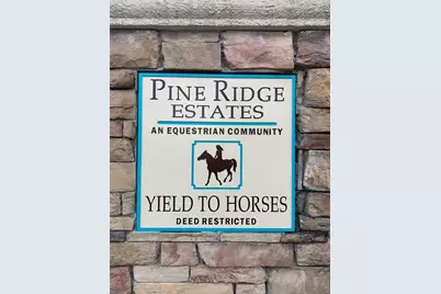 4918 W Alamo Drive, Beverly Hills, FL 34465 - Photo 4