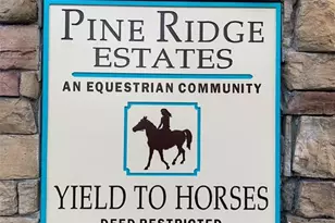 4918 W Alamo Dr, Beverly Hills, FL 34465 - Photo 4